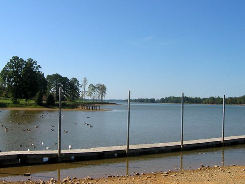 Lake Logan Martin