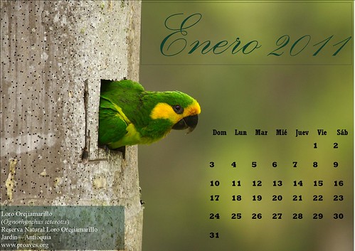 calendario 2011 mexico. About calendario mexico