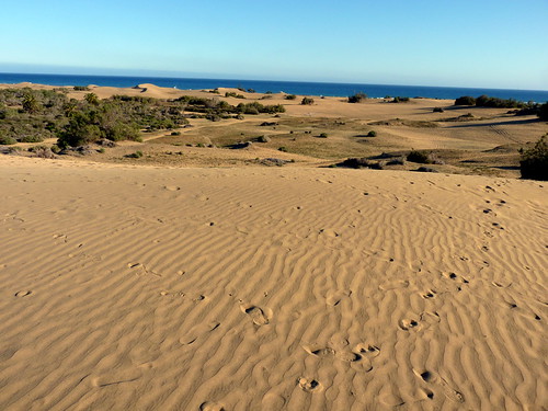 Gran Canaria - Maspalomas Dunes in the Sping ...