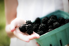 The only blackberries worth buying