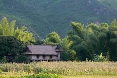 Maison près de la forêt Mai Chau Vietnam