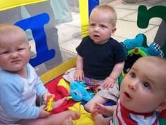 Hanging out with my buddies in my playpen !!