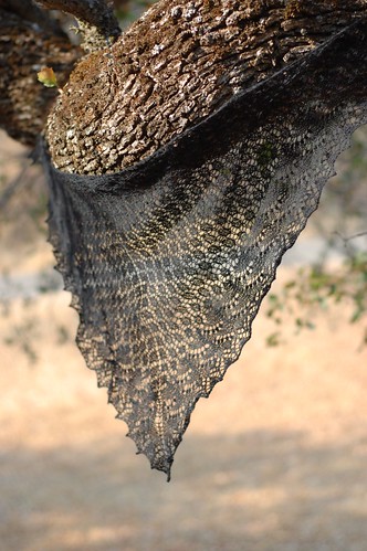 Swallowtail Shawl.