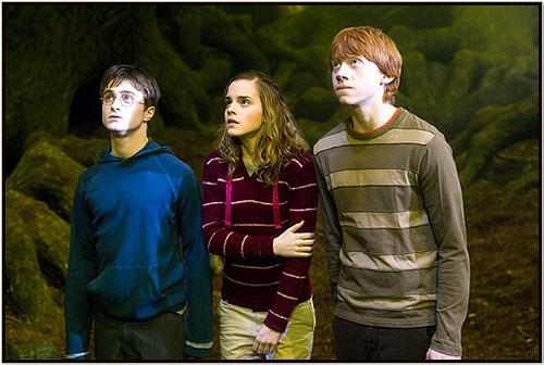 Harry Potter Emma Watson Rupert Grint harry ron y hermione 17 