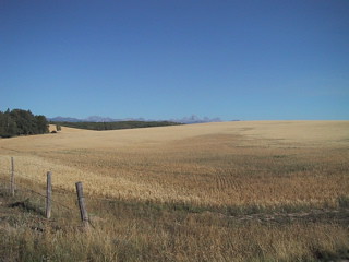 The Idaho Prairie