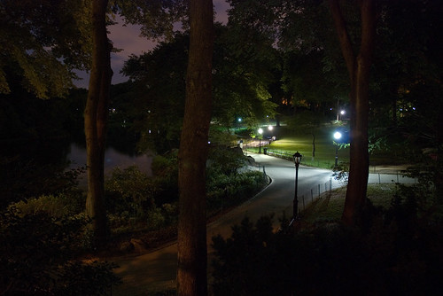 Central Park by night II
