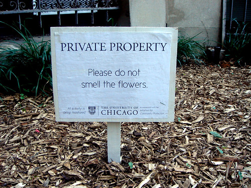 Please Do Not Smell the Flowers.