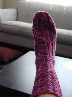 baudcal socks