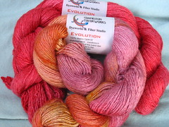 Chameleon Colorworks Evolution yarn