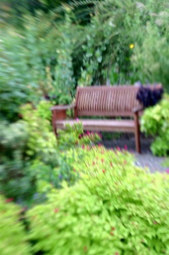 A quiet place to sit in El Jardin