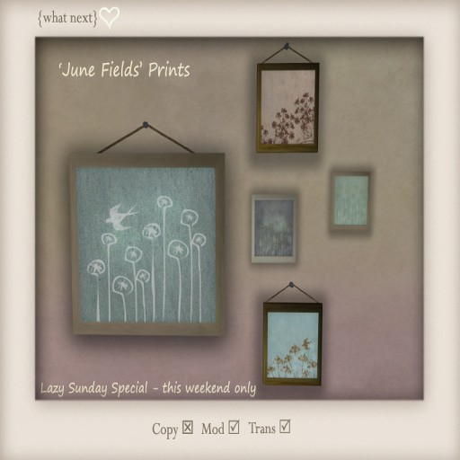 {what next} June Fields Prints for Lazy Sunday