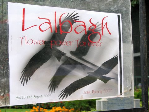 lalbagh flower power forever