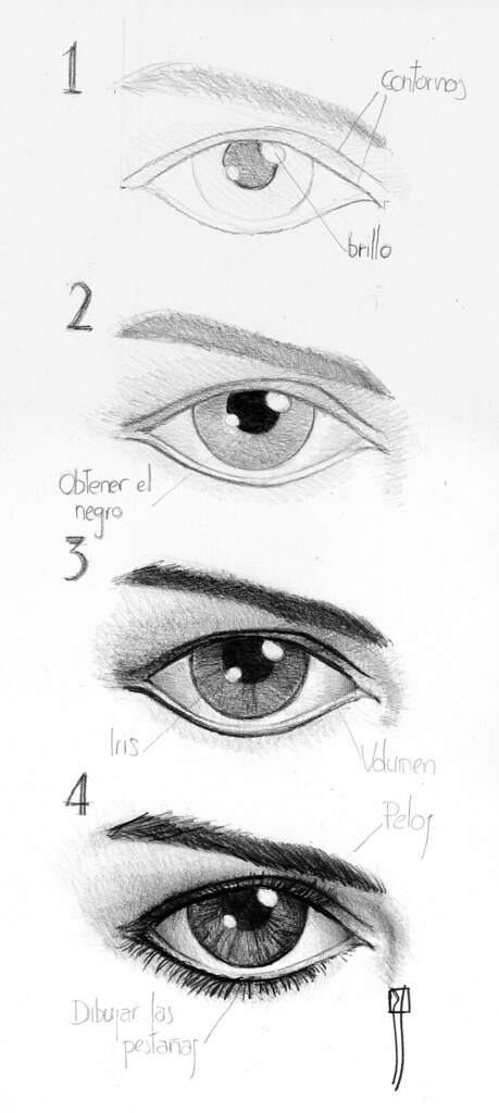 proceso de un ojo