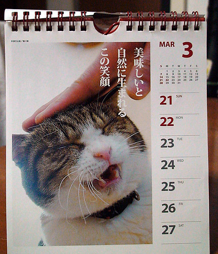 кошачий календарь