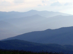 view at max patch