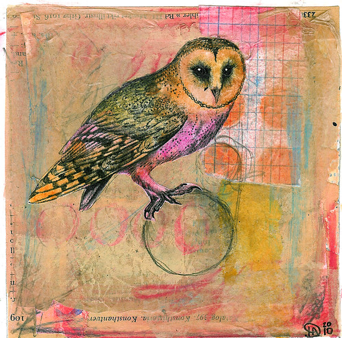 Owl in balance
