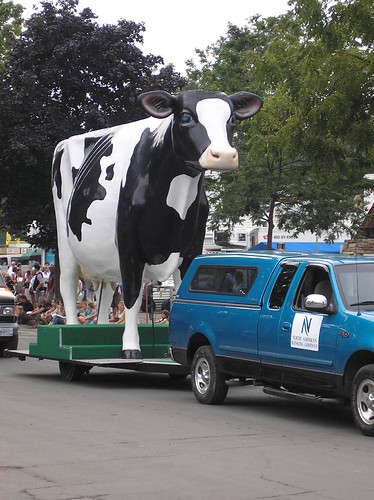 Big Holstein on Wheels