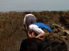 Bending over looking at rockpools