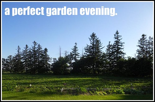 Perfect Garden Evening