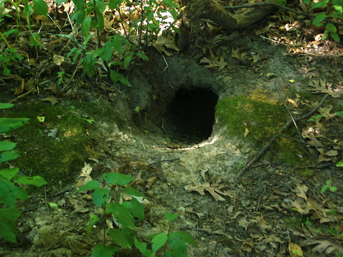 Hidey Hole