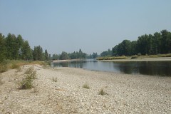 bitterroot river