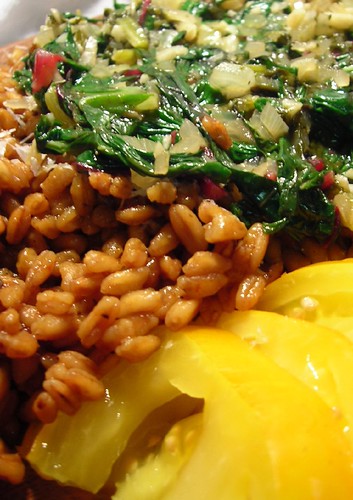 Swiss Chard and Sorrel over Spelt (with a yellow tomato on the side)