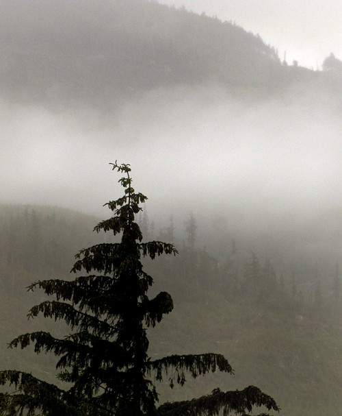 fog on Kasaan Mountain, Kasaan, Alaska