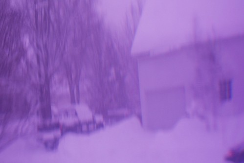 Purple Winter