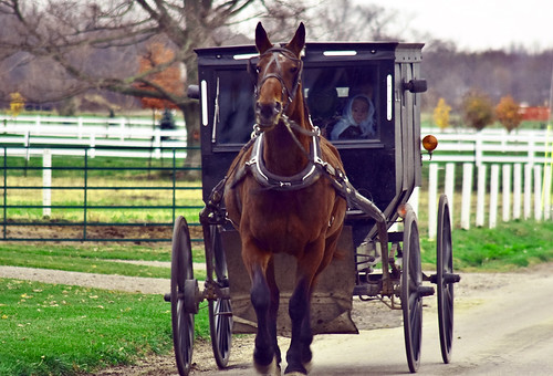 Amish buggy and cart