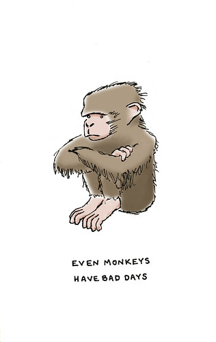 a grumpy monkey
