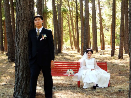 Groom and Bride in the woods