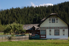 Casa pictata in comuna Ciocanesti, Bucovina