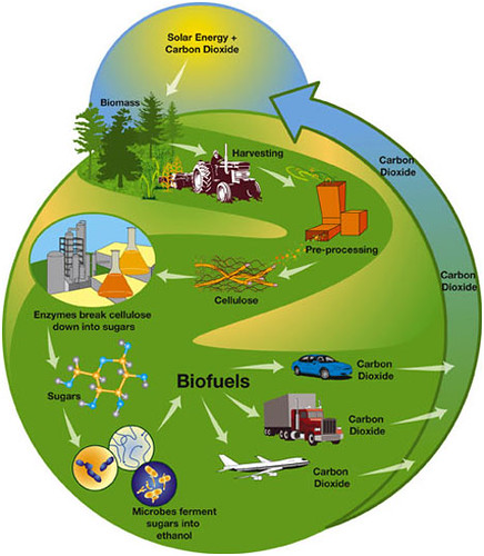 biomass-fuel-production-process