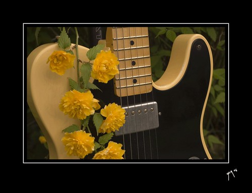 telecaster wallpaper. telecaster and Flowers II