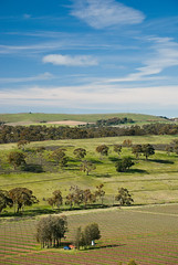 Clare Valley from Neagle's Rock