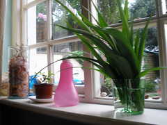 Mam sent me a new green Aalto vase =)