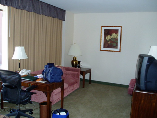 St Louis hotel2