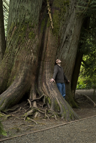 Dan in Cathedral Grove
