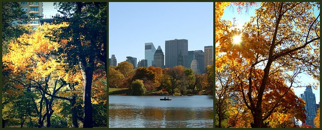 Colors of Central Park