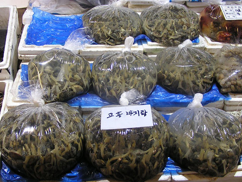 Noryangjin Fish Market, Seoul, South Korea