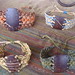 Coconut Bracelets