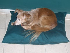 Ethiopian Pillow In Use