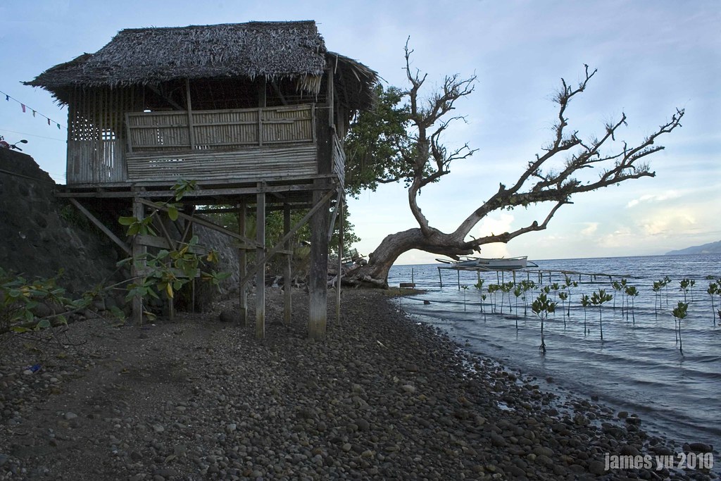 Mangrove Sanctuary