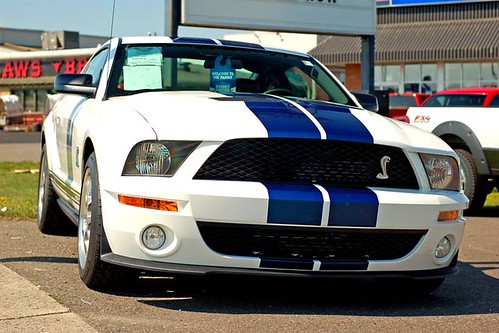 Mustang Shelby GT