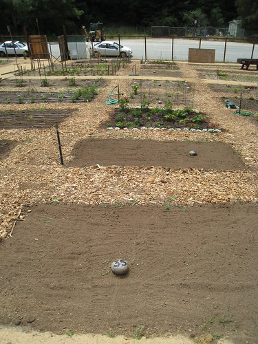 Garden - May 2010