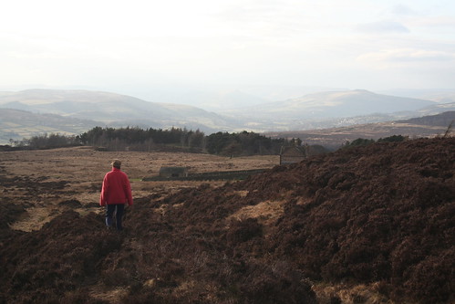 From Longshaw ~ 21st March 2010