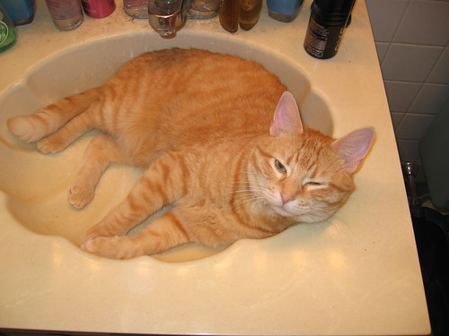 Spark in the sink