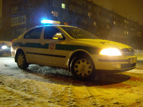 Lithuanian police car