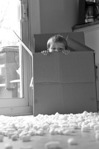 Lucas and the packing peanuts - 6 of 6
