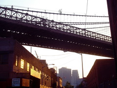Brooklyn Bridge (3)